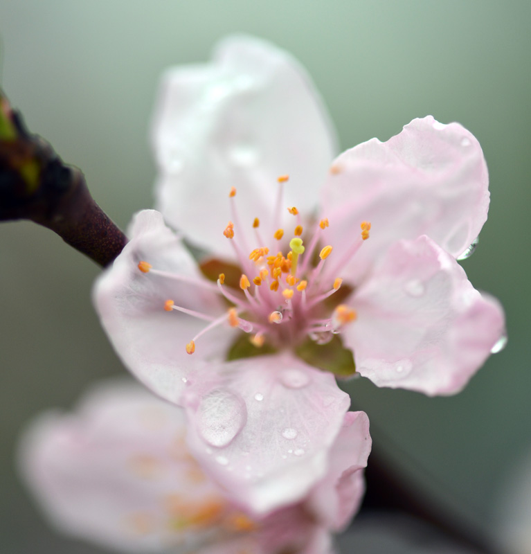 DSC_1103 ����.jpg