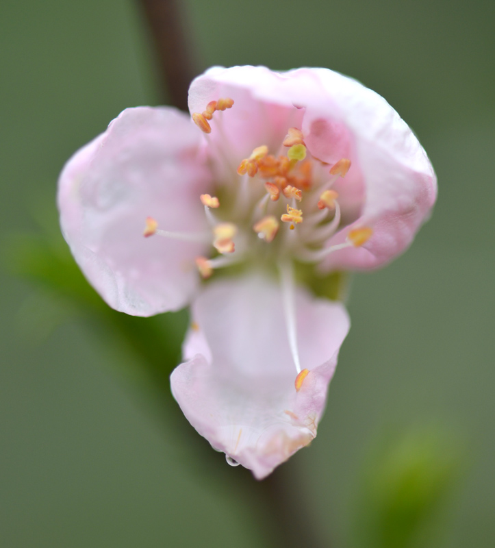 DSC_1054 ����.jpg