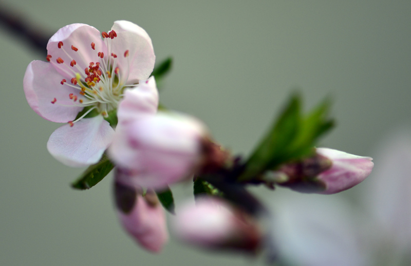 DSC_1006 ����.jpg