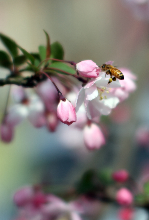 IMG_9267 ����.jpg