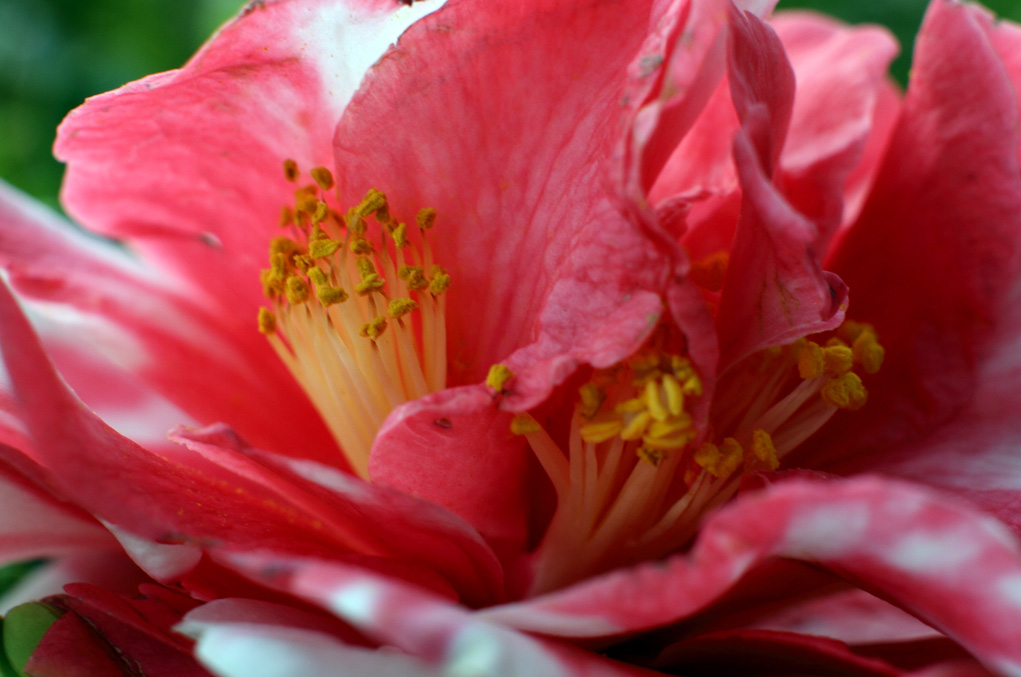 IMG_9299 ����.jpg