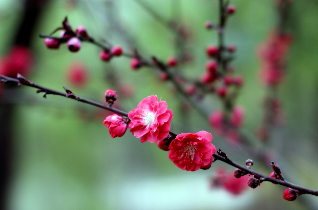 IMG_9317 ����.jpg