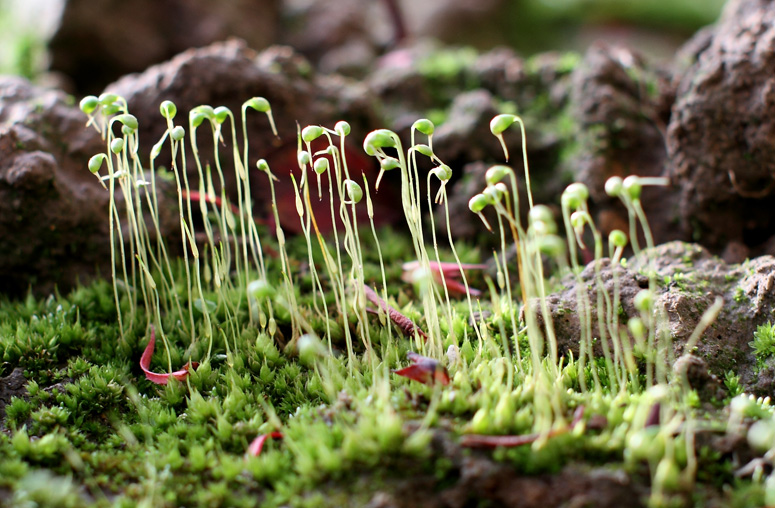 IMG_9326 ����.jpg