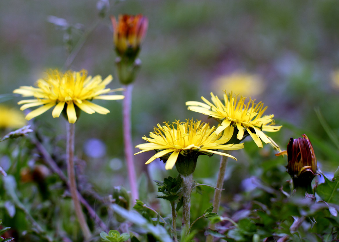 IMG_9342 ����.jpg