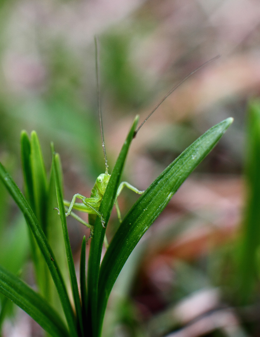 IMG_9354 ����.jpg