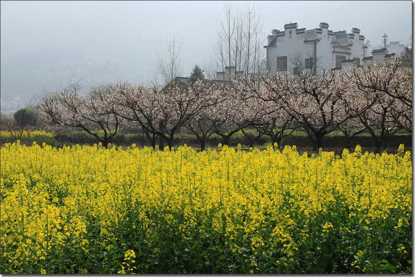 IMG_5848 ����.jpg