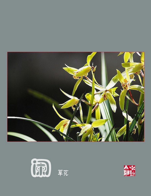 ���� DSC_9207_conew3.JPG