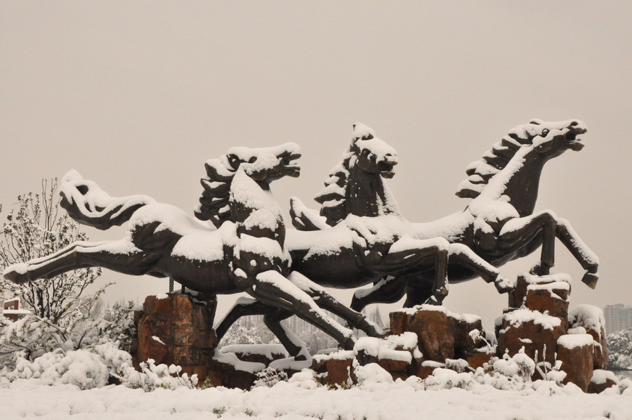 ������ѩ