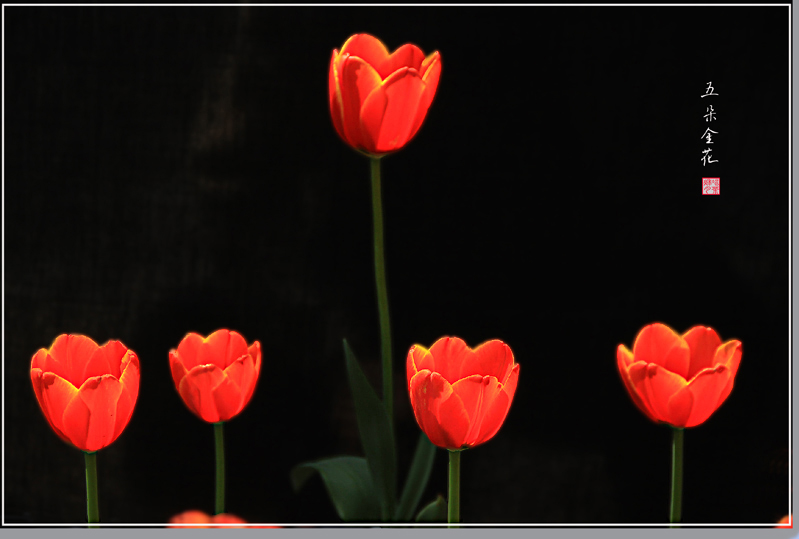 IMG_5383 ����.jpg