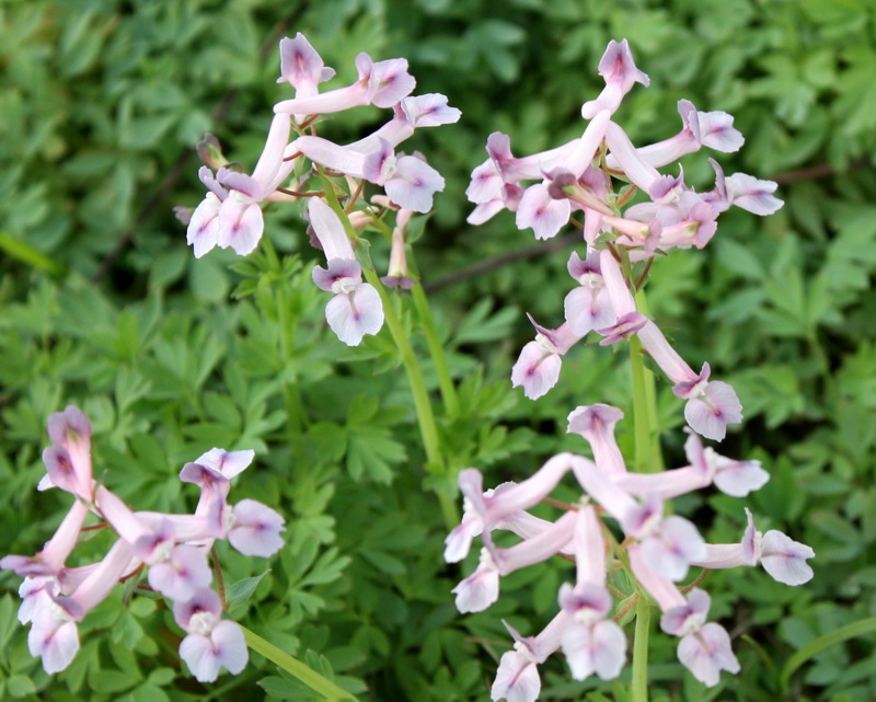 2013.1.8 009_conew2.jpg