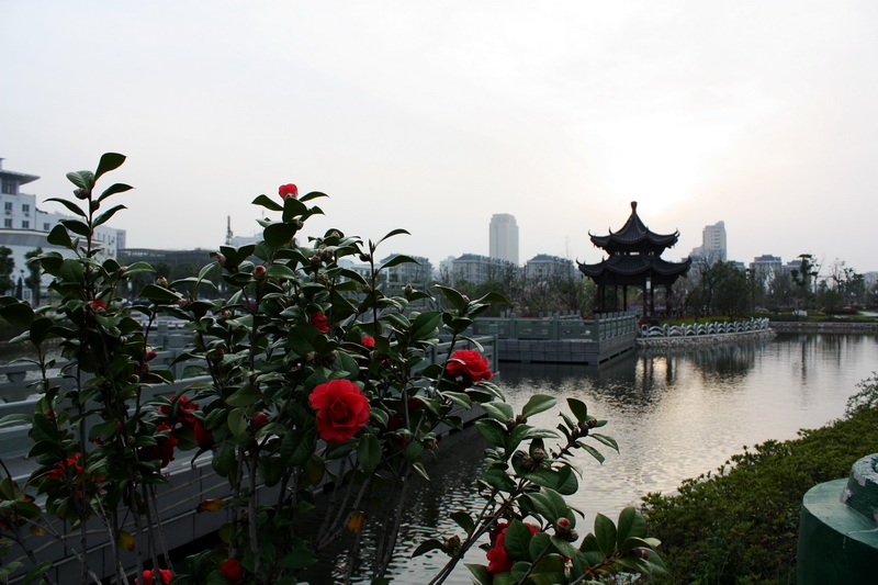 2013.1.8 122_conew1.jpg