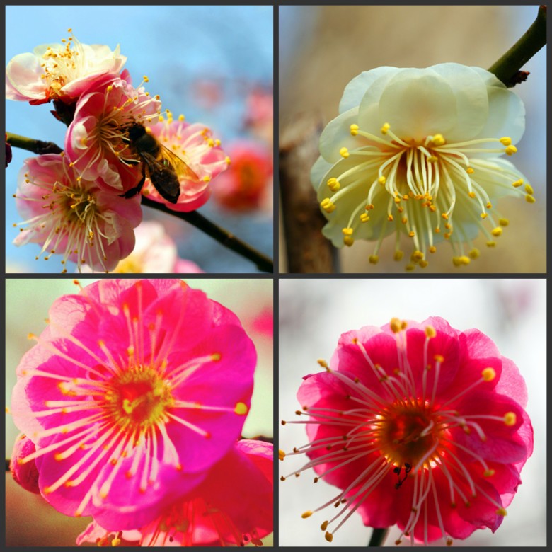 DSC03522_���� - ����_conew1.jpg