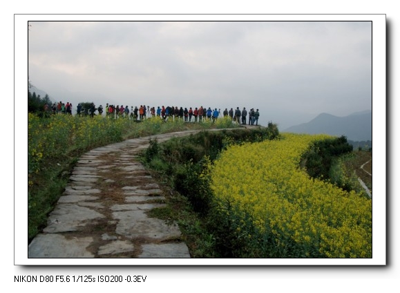 ���� DSC_9747_conew1.JPG