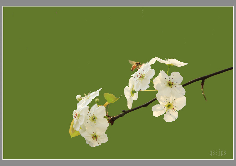 IMG_5043 ����.jpg