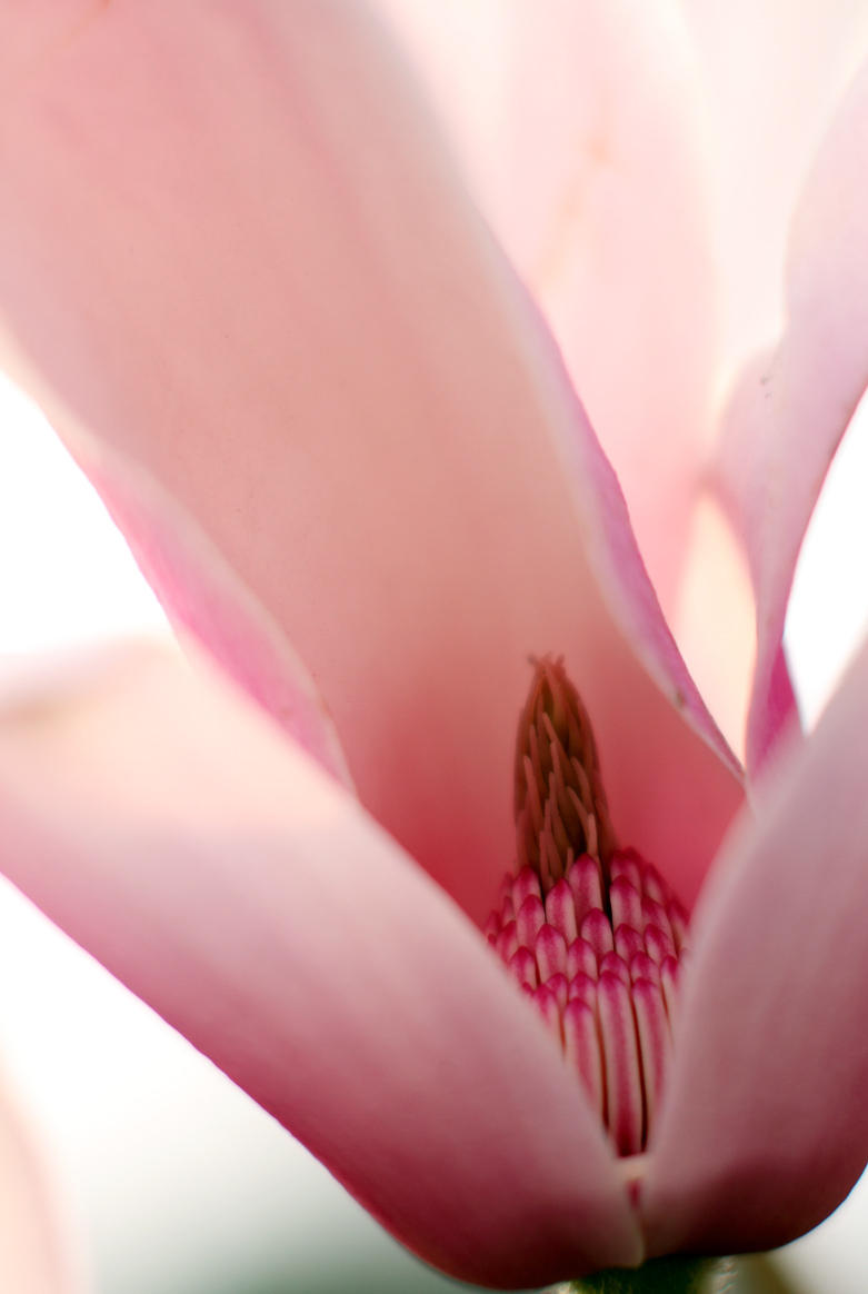 IMG_9077 ����.jpg