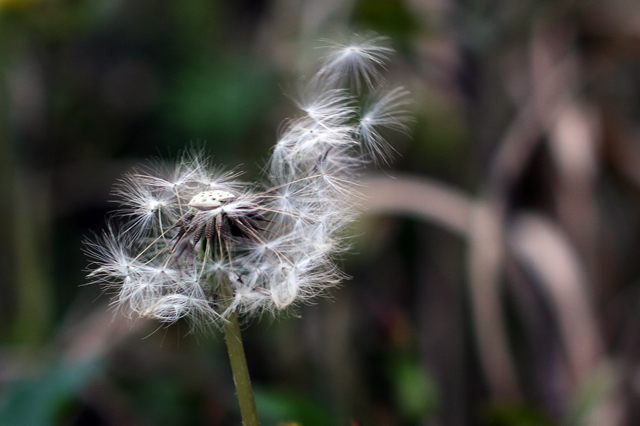 IMG_9550 ����.jpg