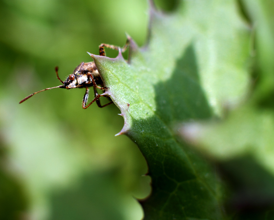 IMG_9585 ����.jpg