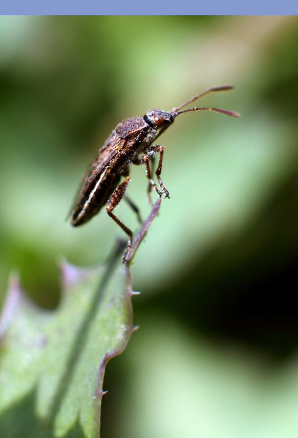 IMG_9591 ����.jpg