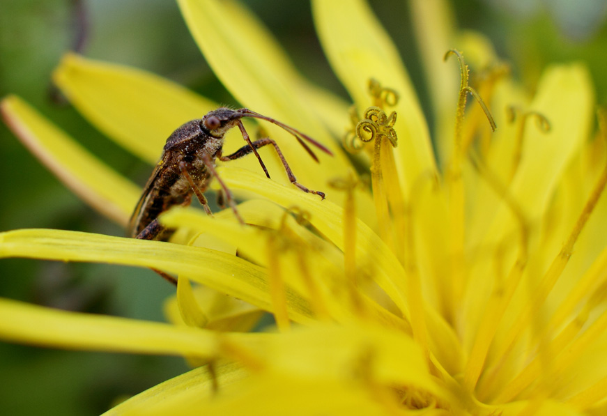 IMG_9616 ����.jpg