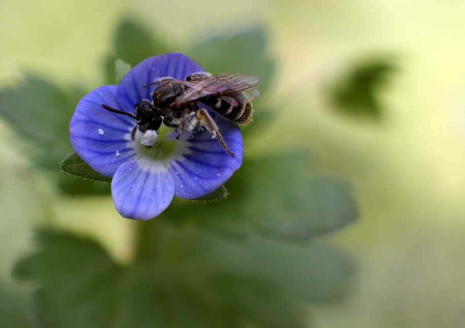 IMG_9608 ����.jpg