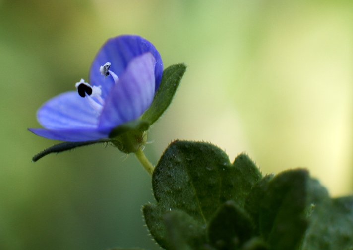 IMG_9610 ����.jpg