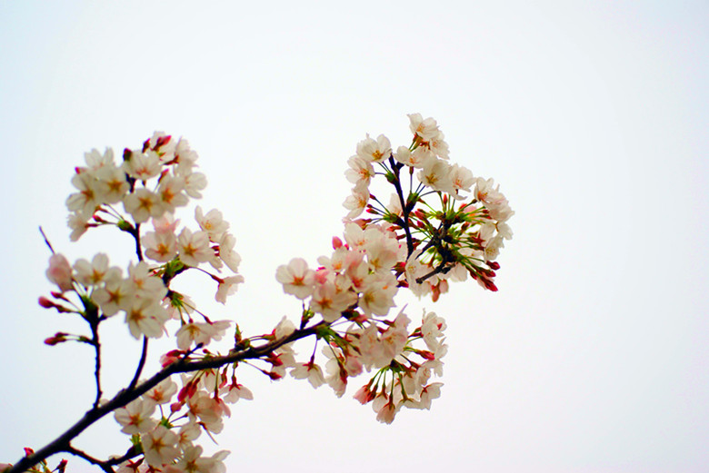 DSC04085_���� - ����.jpg