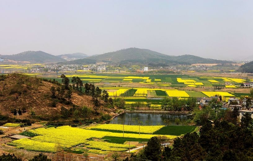 ������˻���