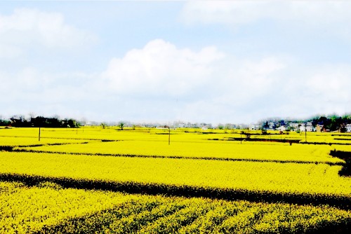 154252kalhdl92y9d9b9y5 (1)_conew2.jpg