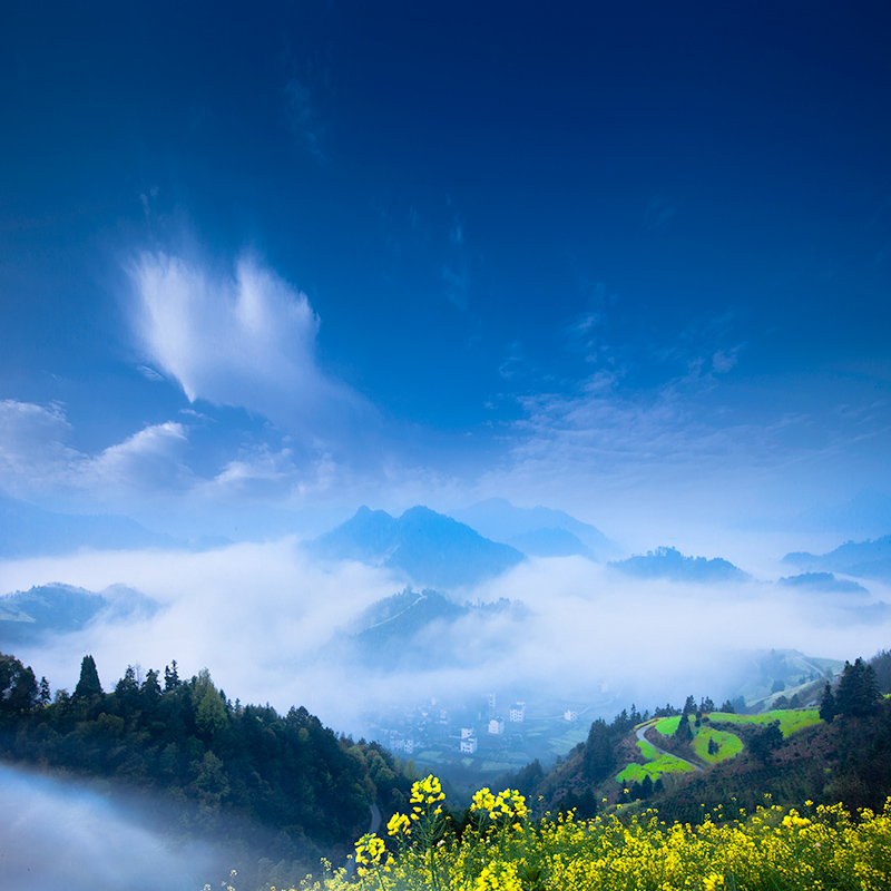 �������ϼ��ʯ̶��