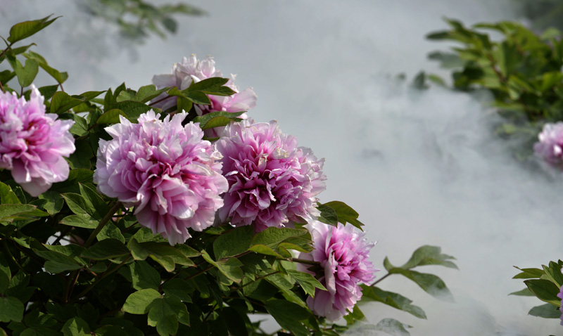 _DSC3370 ����.jpg