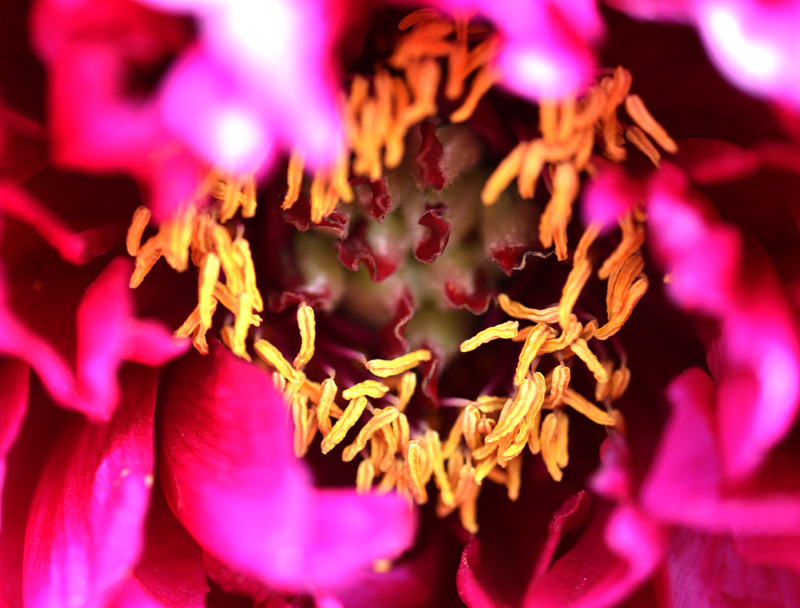 _DSC3329 ����.jpg