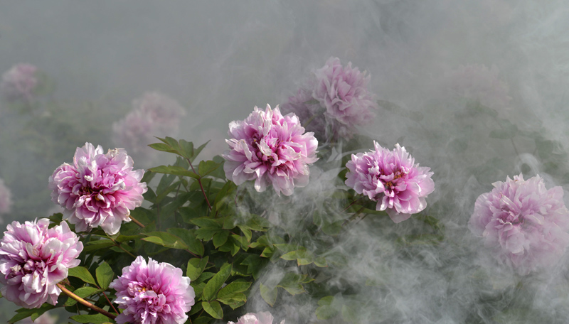 _DSC3374 ����.jpg