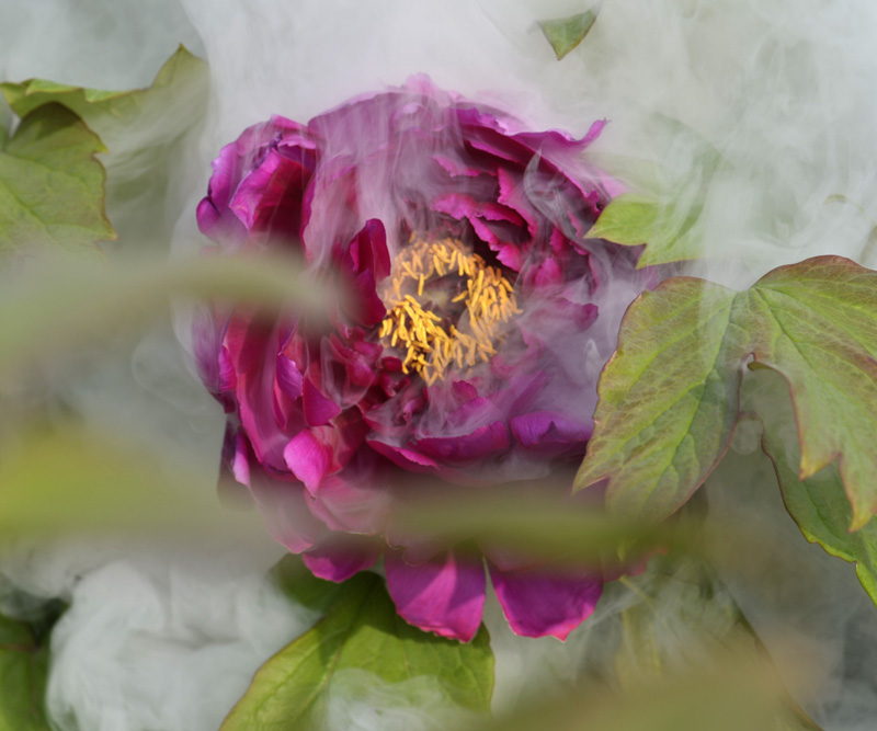 _DSC3180 ����.jpg