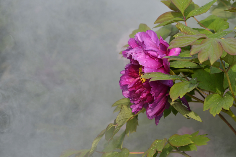 _DSC3154 ����.jpg