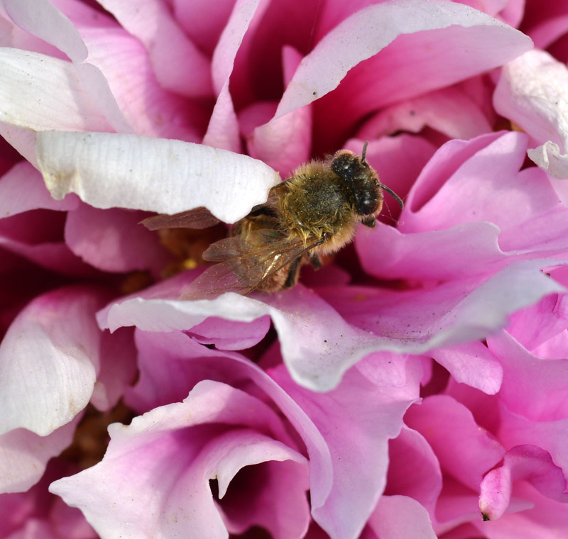 _DSC3321 ����.jpg