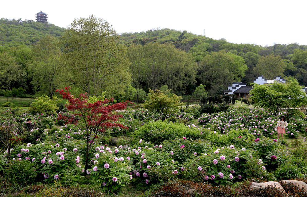 �д���Ǻ���ɫ