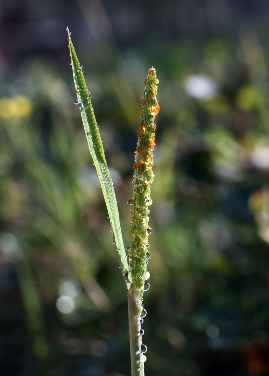 IMG_9946 ����.jpg