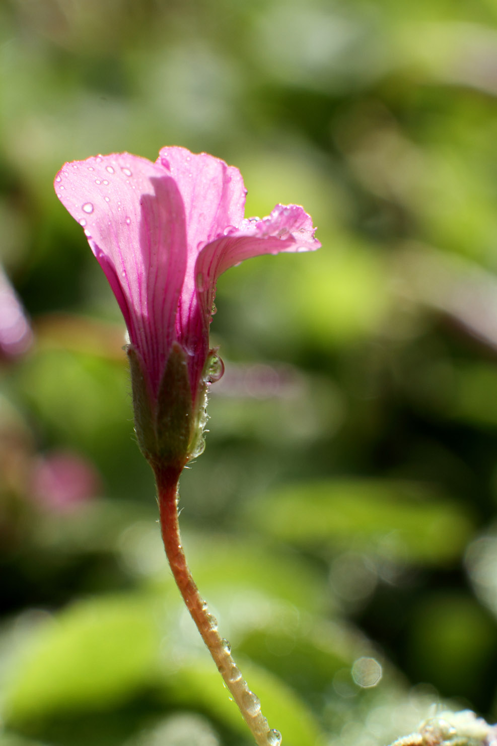 IMG_9970 ����.jpg