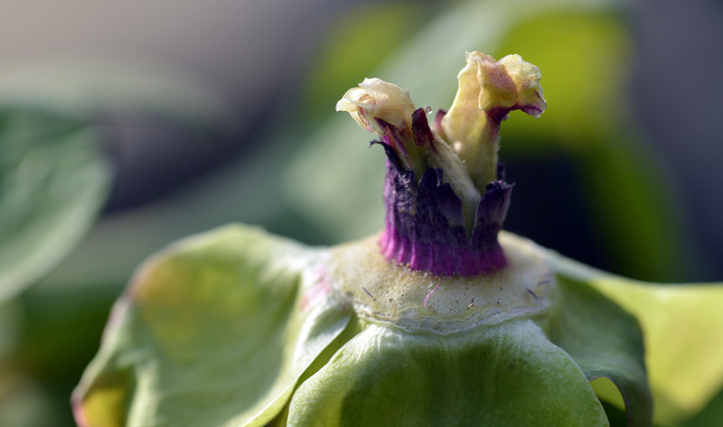 _DSC3526 ����.jpg