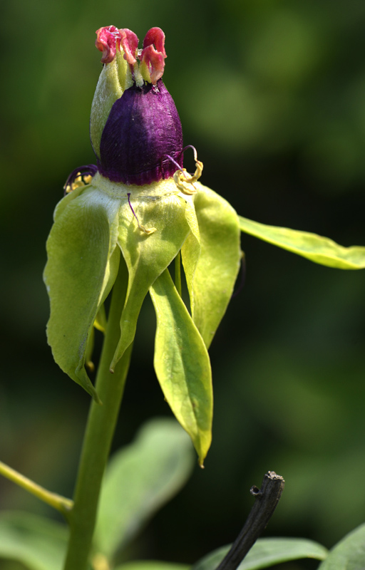 _DSC3544 ����.jpg