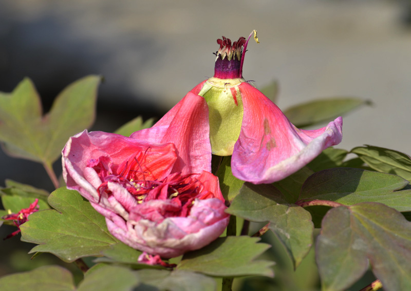 _DSC3536 (74) ����.jpg