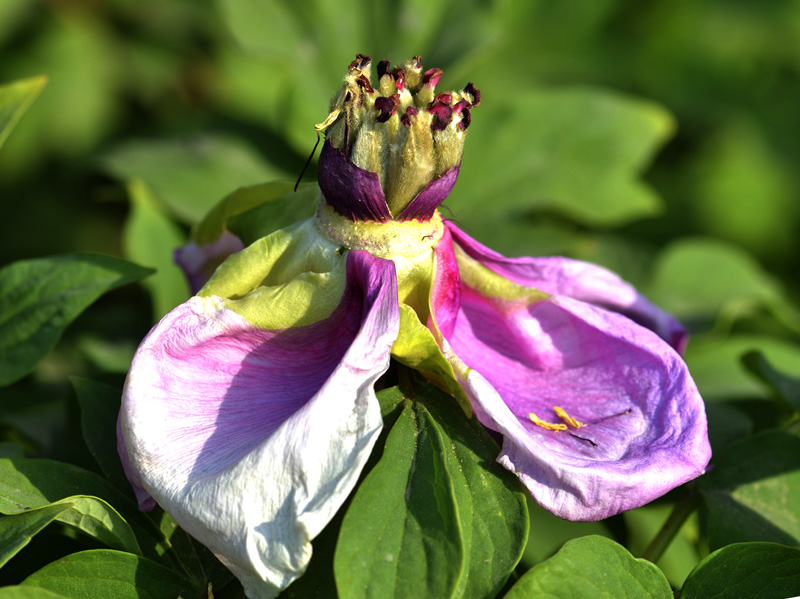 _DSC3554 ����.jpg