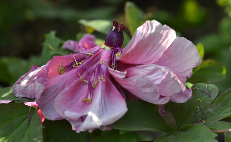 _DSC3524 ����.jpg