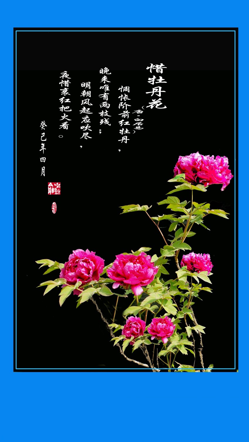 DSC_1560 ����_conew4.jpg