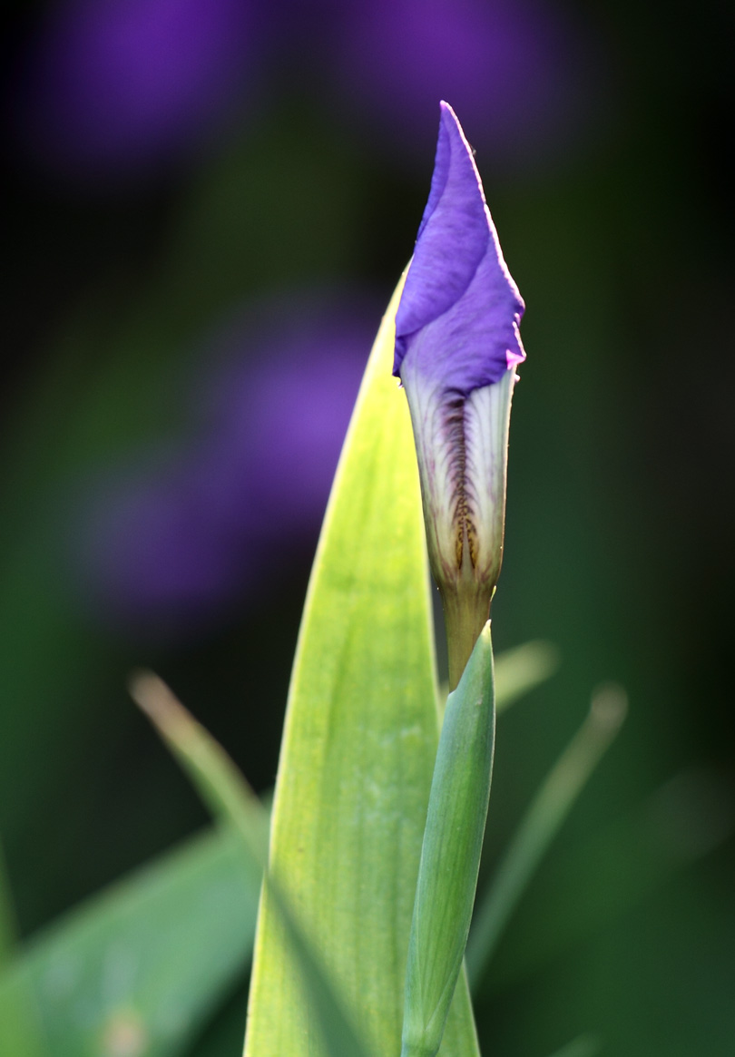 IMG_0218 ����.jpg