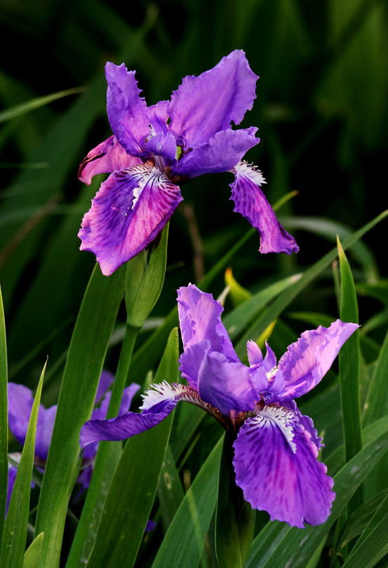 IMG_0228 ����.jpg