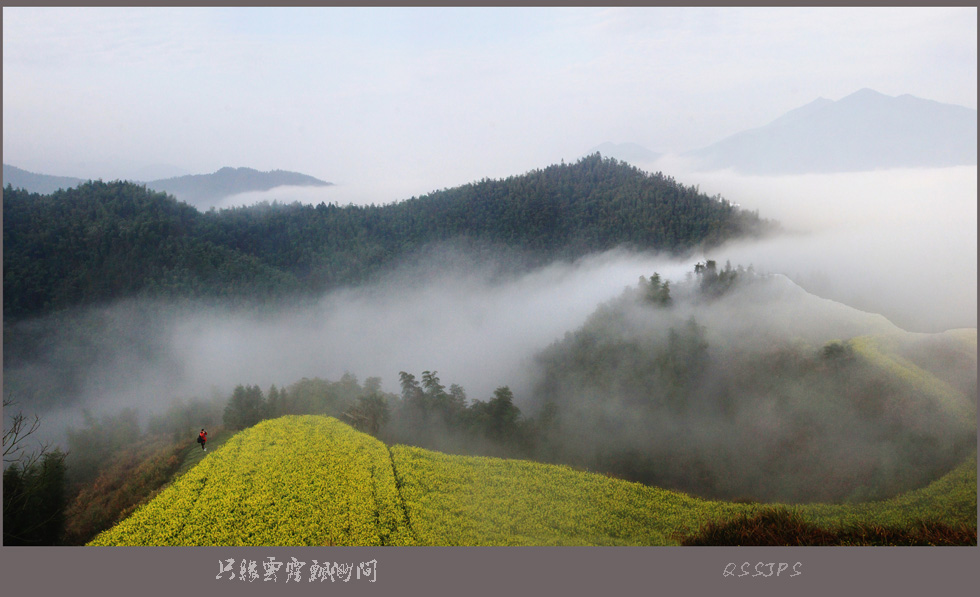 IMG_6289  ����.jpg