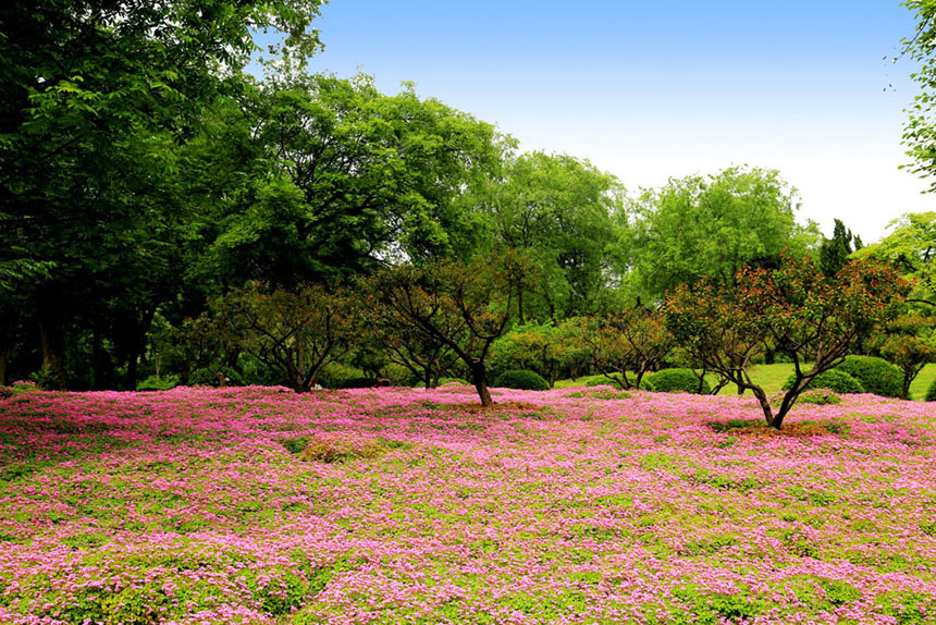 ��ʯ����