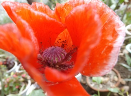 Ů�˻���˯����