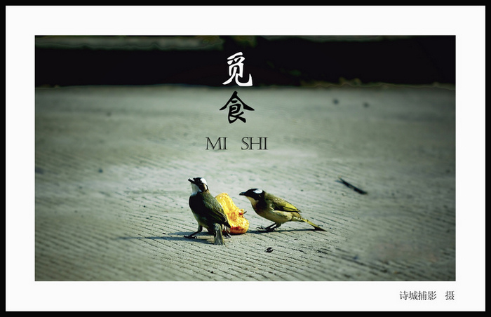 ���� _DSC0065.jpg